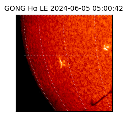 gong - 2024-06-05T05:00:42