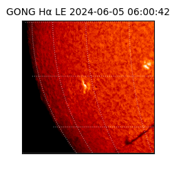 gong - 2024-06-05T06:00:42