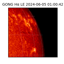 gong - 2024-06-05T01:00:42