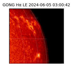 gong - 2024-06-05T03:00:42