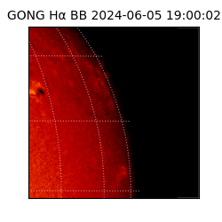 gong - 2024-06-05T19:00:02