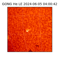 gong - 2024-06-05T04:00:42