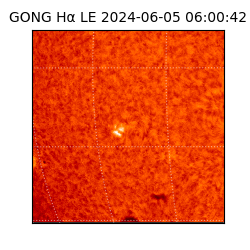 gong - 2024-06-05T06:00:42