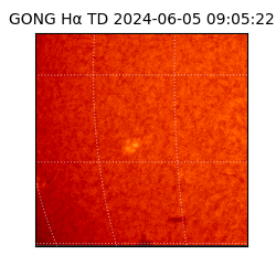 gong - 2024-06-05T09:05:22