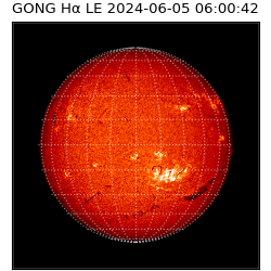 gong - 2024-06-05T06:00:42