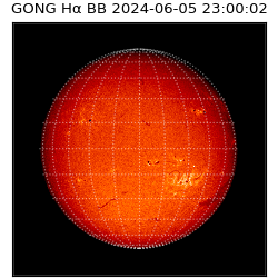 gong - 2024-06-05T23:00:02