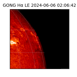 gong - 2024-06-06T02:06:42