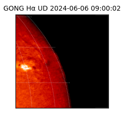 gong - 2024-06-06T09:00:02