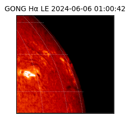 gong - 2024-06-06T01:00:42