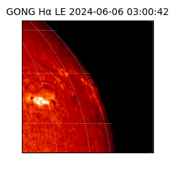 gong - 2024-06-06T03:00:42