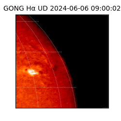 gong - 2024-06-06T09:00:02