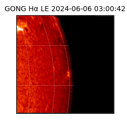 gong - 2024-06-06T03:00:42