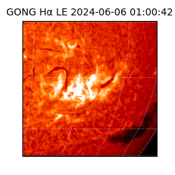 gong - 2024-06-06T01:00:42