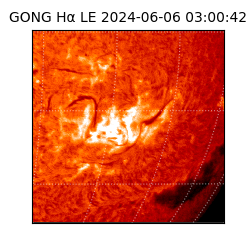 gong - 2024-06-06T03:00:42