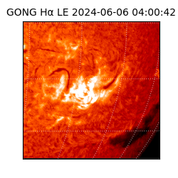 gong - 2024-06-06T04:00:42