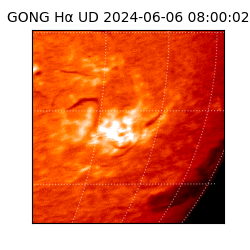 gong - 2024-06-06T08:00:02