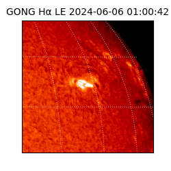 gong - 2024-06-06T01:00:42
