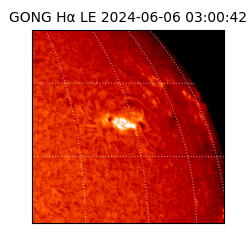 gong - 2024-06-06T03:00:42