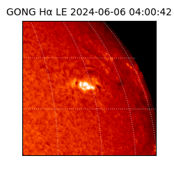 gong - 2024-06-06T04:00:42