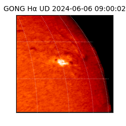 gong - 2024-06-06T09:00:02