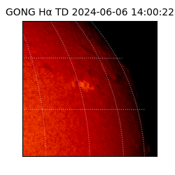 gong - 2024-06-06T14:00:22