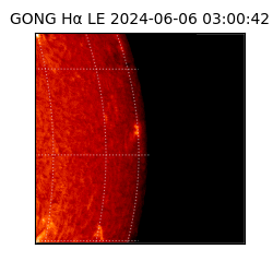 gong - 2024-06-06T03:00:42