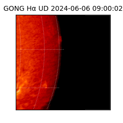 gong - 2024-06-06T09:00:02