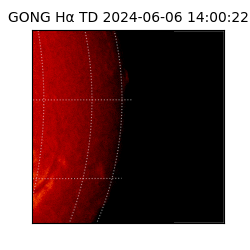 gong - 2024-06-06T14:00:22