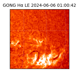 gong - 2024-06-06T01:00:42