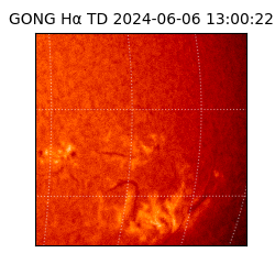 gong - 2024-06-06T13:00:22