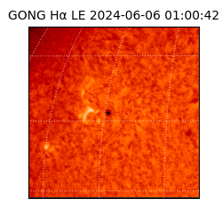 gong - 2024-06-06T01:00:42