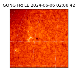 gong - 2024-06-06T02:06:42