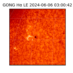 gong - 2024-06-06T03:00:42