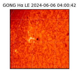 gong - 2024-06-06T04:00:42