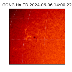 gong - 2024-06-06T14:00:22