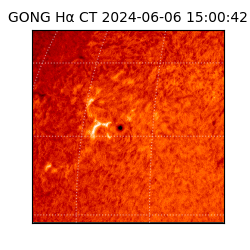 gong - 2024-06-06T15:00:42