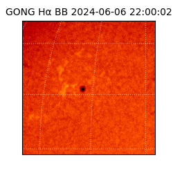 gong - 2024-06-06T22:00:02