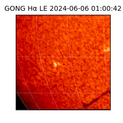 gong - 2024-06-06T01:00:42