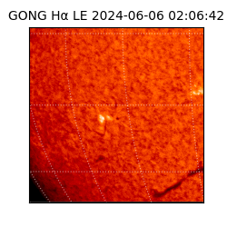 gong - 2024-06-06T02:06:42