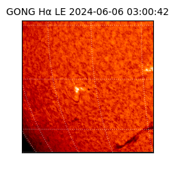 gong - 2024-06-06T03:00:42