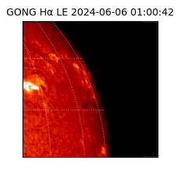 gong - 2024-06-06T01:00:42
