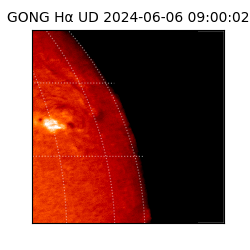 gong - 2024-06-06T09:00:02