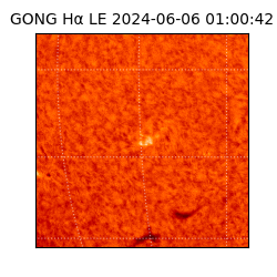 gong - 2024-06-06T01:00:42
