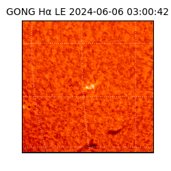 gong - 2024-06-06T03:00:42