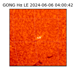 gong - 2024-06-06T04:00:42