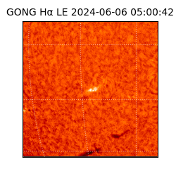 gong - 2024-06-06T05:00:42