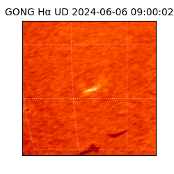 gong - 2024-06-06T09:00:02