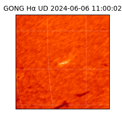 gong - 2024-06-06T11:00:02