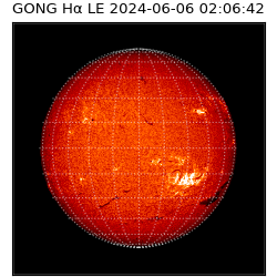gong - 2024-06-06T02:06:42
