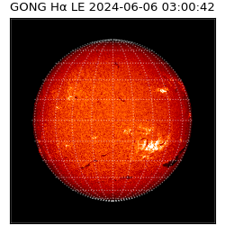 gong - 2024-06-06T03:00:42